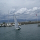 Grand Voile pour Laser Radial 5.76 m2